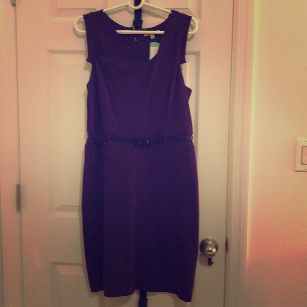 41 Hawthorn Hillary Knit Dress